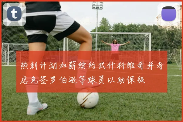 热刺计划加薪续约武什科维奇并考虑免签罗伯逊等球员以助保级